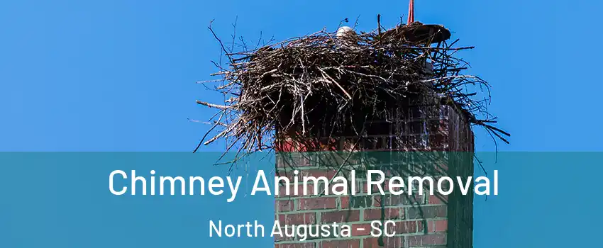 Chimney Animal Removal North Augusta - SC