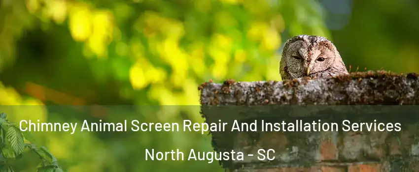  Chimney Animal Screen Repair And Installation Services North Augusta - SC