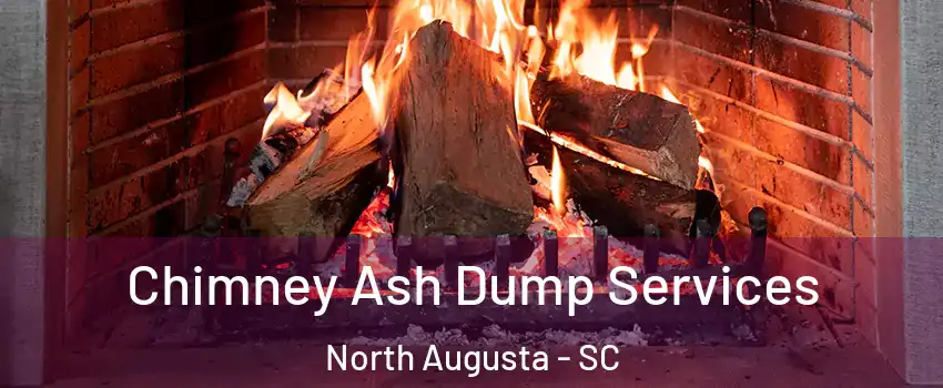  Chimney Ash Dump Services North Augusta - SC