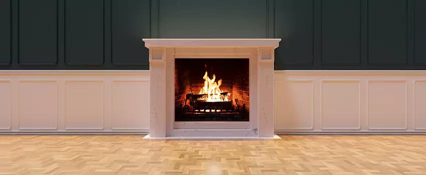 Napoleon Electric Fireplaces Inspection Service in North Augusta, South Carolina