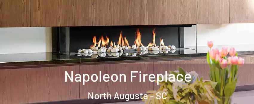  Napoleon Fireplace North Augusta - SC